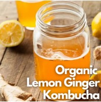 *Kombucha - LEMON GINGER - 350ml (by Satva Farm)